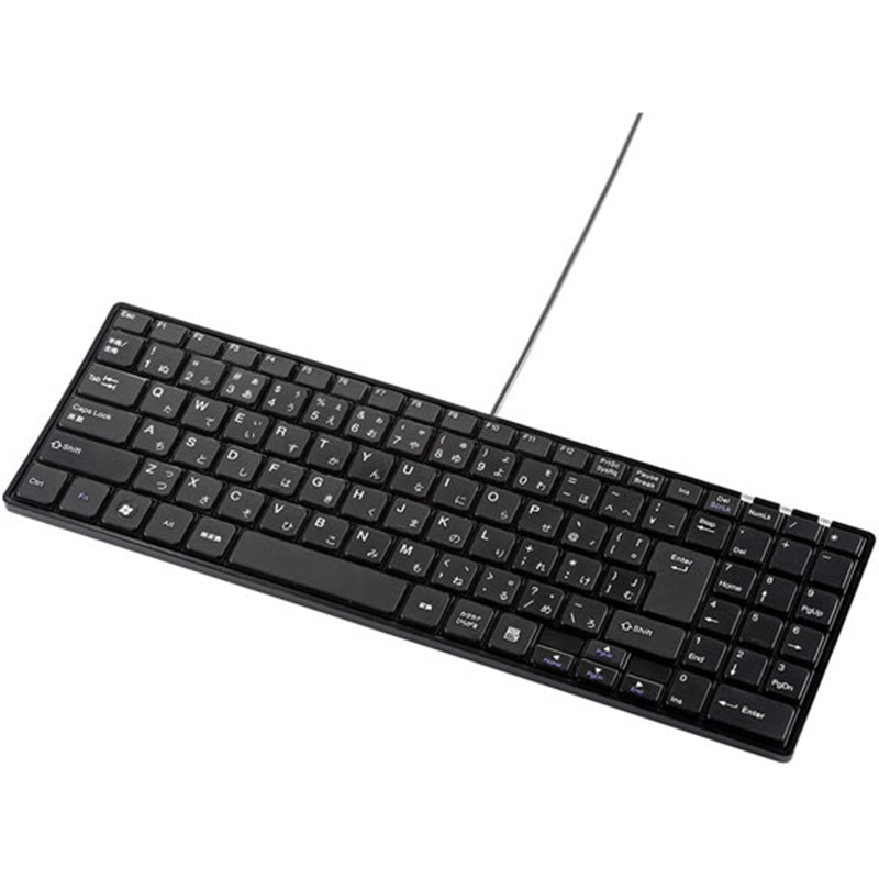 サンワサプライ 静音スリムキーボード テンキー付き ブラック SKB-SL19BK 1個（ご注文単位1個）【直送品】