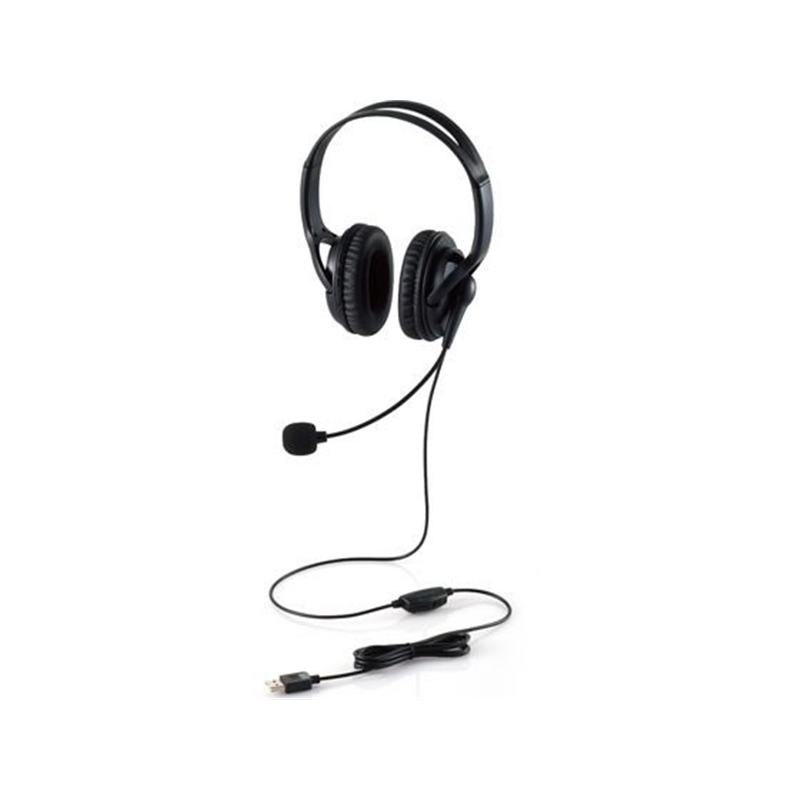 エレコム 有線ヘッドホン 両耳 USB 大型 HS-HP02SUBK 1個（ご注文単位1個）【直送品】