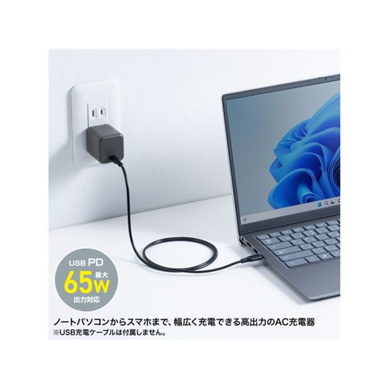 サンワサプライ USB PD対応キューブ型AC充電器 ACA-PD105BK 1個(ご注文単位1個)【直送品】