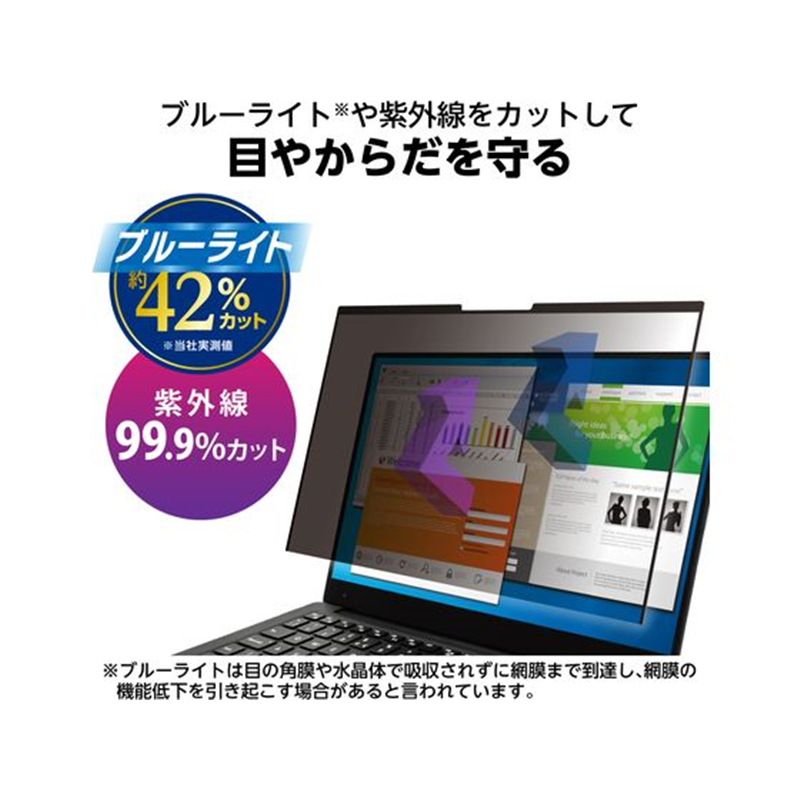 エレコム 13.3Wインチ 吸着式フィルター EF-PFNS133W10 1個(ご注文単位1個)【直送品】