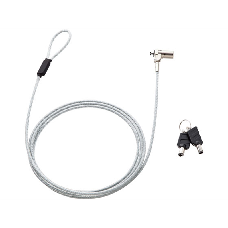 サンワサプライ 超小型シリンダセキュリティ eセキュリティ SLE-25S 1セット（ご注文単位1セット）【直送品】