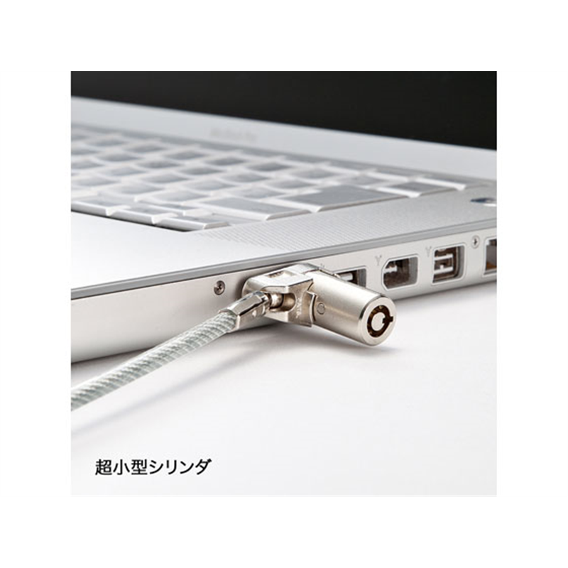 サンワサプライ 超小型シリンダセキュリティ eセキュリティ SLE-25S 1セット（ご注文単位1セット）【直送品】