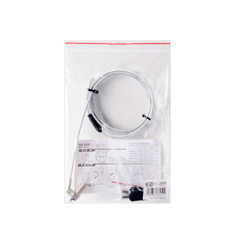 サンワサプライ 超小型シリンダセキュリティ eセキュリティ SLE-25S 1セット（ご注文単位1セット）【直送品】