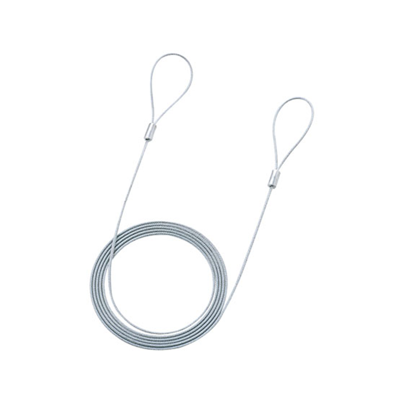 サンワサプライ eセキュリティ ワイヤー・長さ2.0m・直径1.6mm SLE-3W-2 1セット（ご注文単位1セット）【直送品】