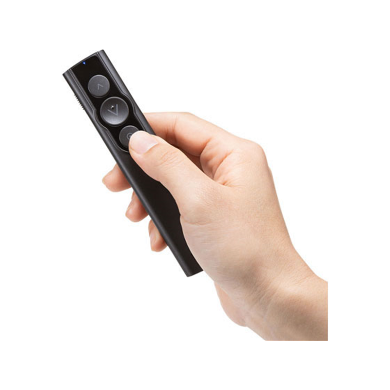 サンワサプライ パワーポインター LP-RF115GM 1本（ご注文単位1本）【直送品】