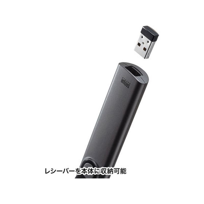 サンワサプライ パワーポインター LP-RF115GM 1本（ご注文単位1本）【直送品】