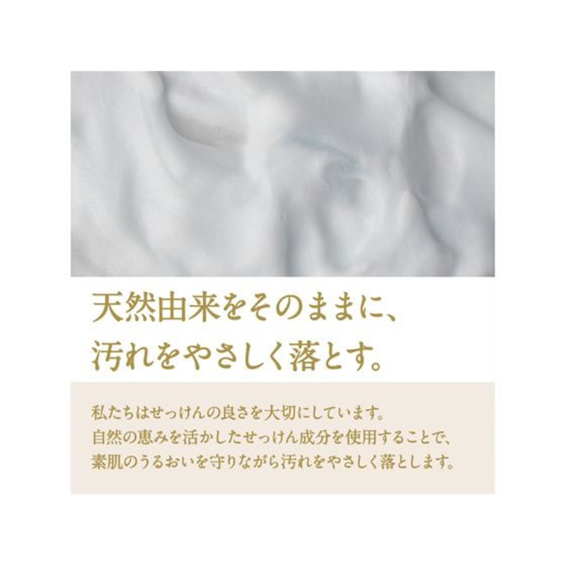 第一石鹸 ピュアフィール ボディソープフェミニン&サボンの香り 480mL 1個（ご注文単位1個）【直送品】