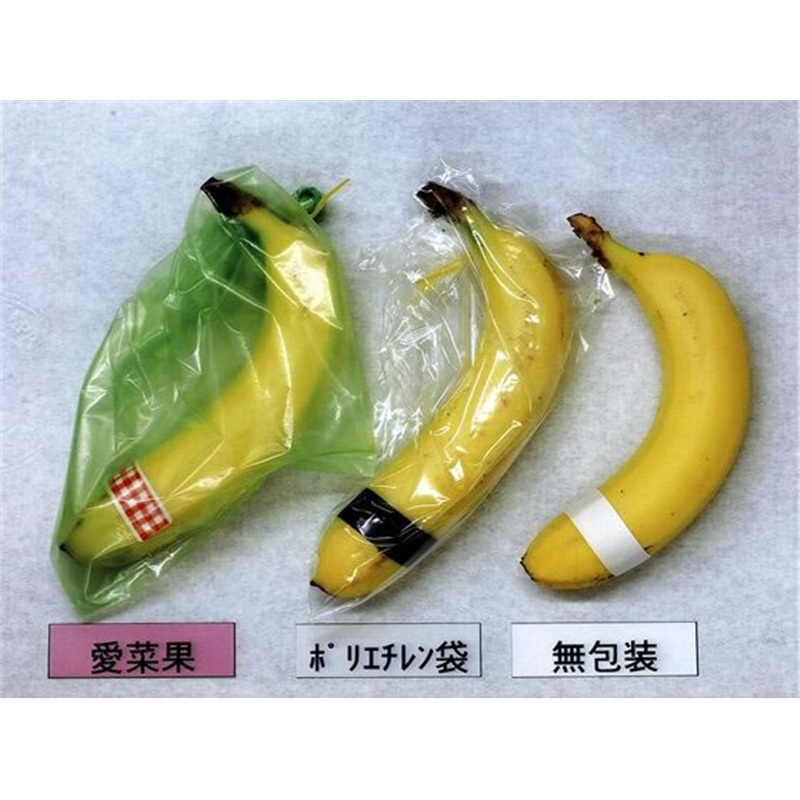 関西紙工 ニプロ 鮮度保存袋 愛菜果 M 6枚入 1袋（ご注文単位1袋）【直送品】