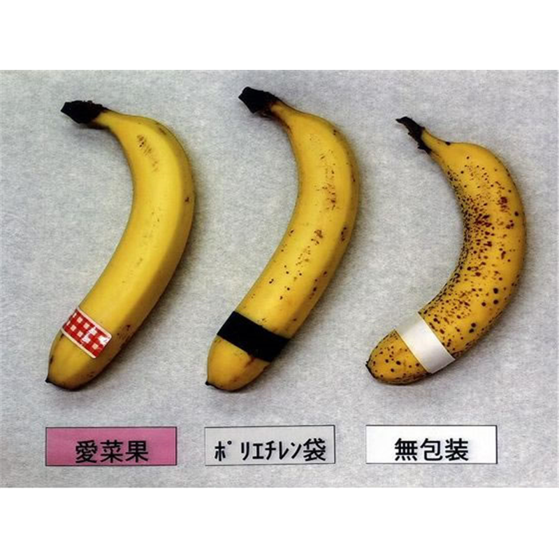 関西紙工 ニプロ 鮮度保存袋 愛菜果 M 6枚入 1袋（ご注文単位1袋）【直送品】