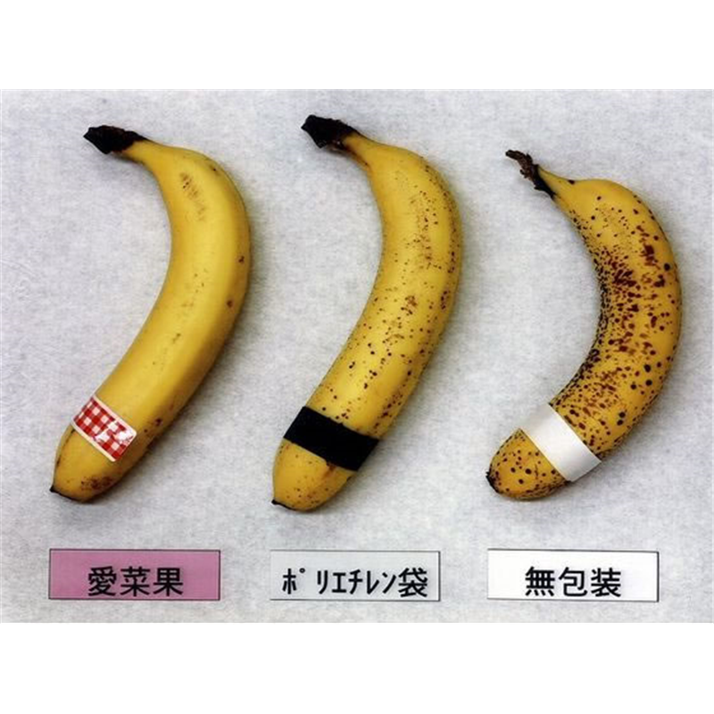 関西紙工 ニプロ 鮮度保存袋 愛菜果 M 6枚入 1袋（ご注文単位1袋）【直送品】