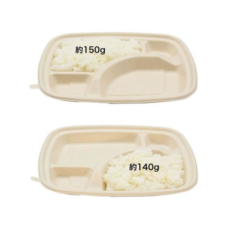 パックスタイル バガス容器 BB弁当 N24-20A ラミ 本体 50枚 1袋(ご注文単位1袋)【直送品】