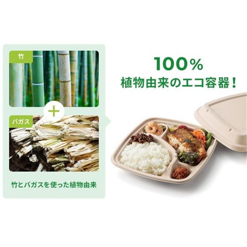 パックスタイル バガス容器 BB弁当 N24-20A ラミ 本体 50枚 1袋(ご注文単位1袋)【直送品】
