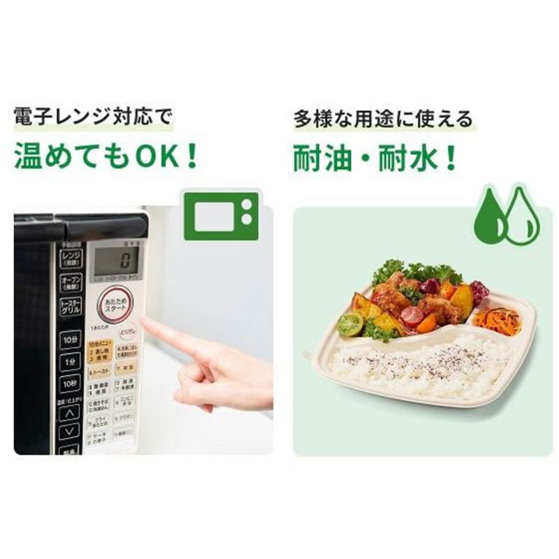 パックスタイル バガス容器 BB弁当 N24-20A ラミ 本体 50枚 1袋(ご注文単位1袋)【直送品】