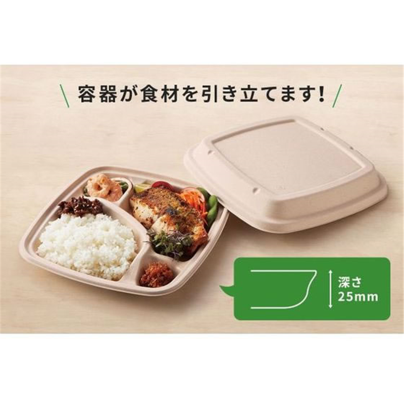 パックスタイル バガス容器 BB弁当 N24-20A ラミ 本体 50枚 1袋(ご注文単位1袋)【直送品】