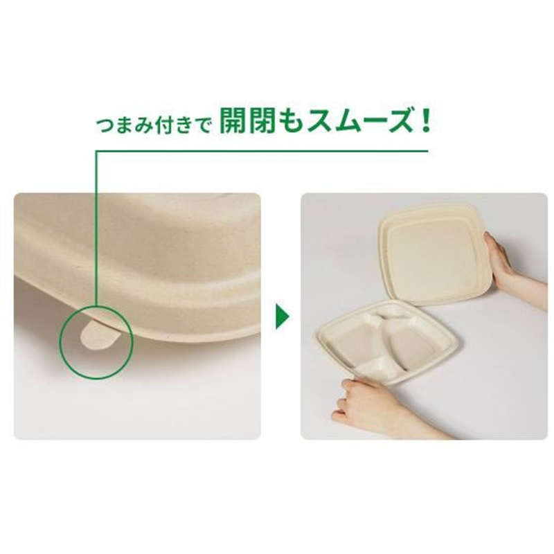 パックスタイル バガス容器 BB弁当 N24-20A ラミ 本体 50枚 1袋(ご注文単位1袋)【直送品】