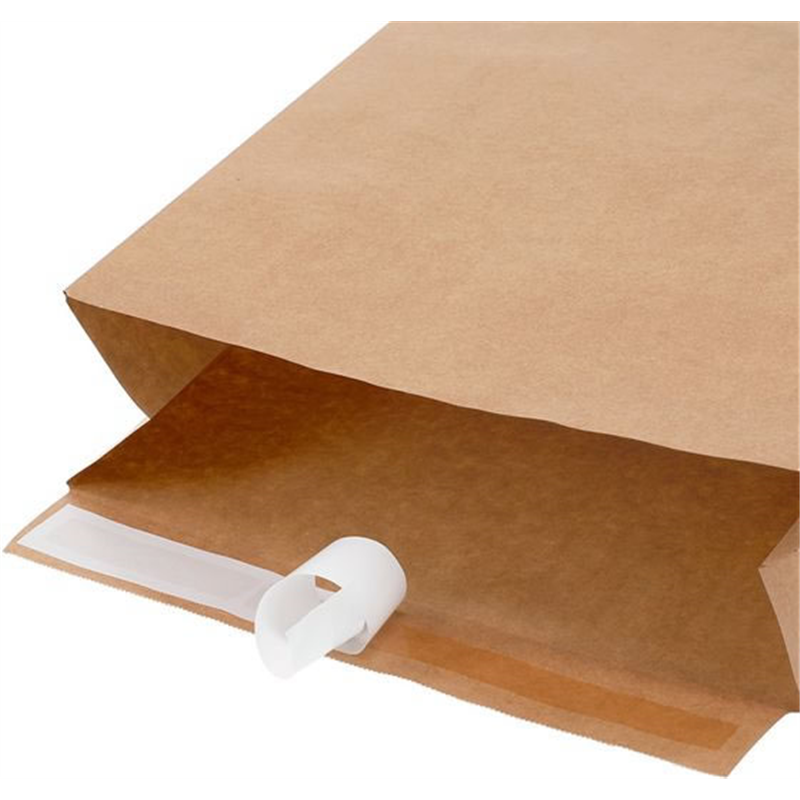 ヘイコー 宅配袋 Eタイプ 未晒無地 LL 50枚 4192650 1パック（ご注文単位1パック）【直送品】