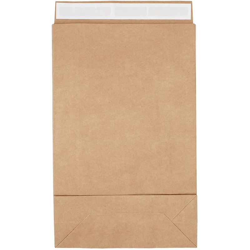 ヘイコー 宅配袋 Eタイプ 未晒無地 LL 50枚 4192650 1パック（ご注文単位1パック）【直送品】