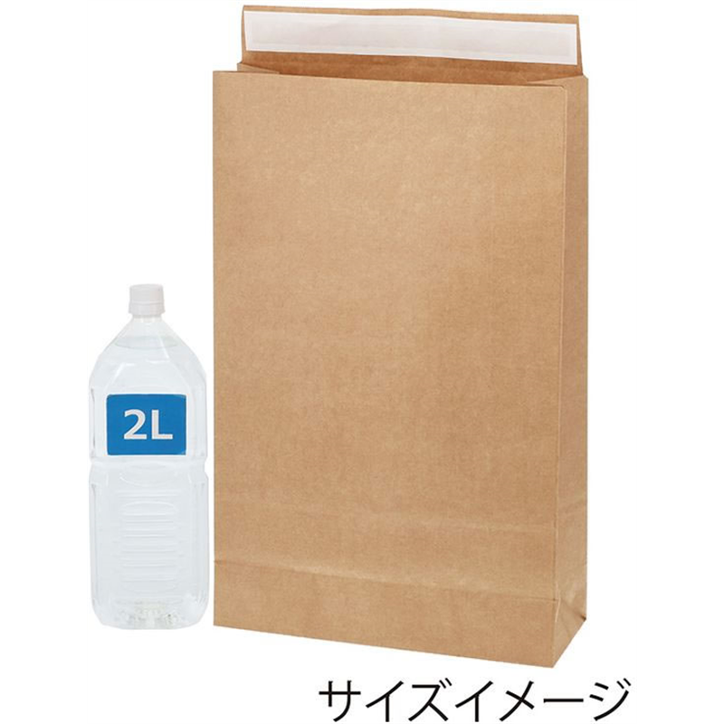 ヘイコー 宅配袋 Eタイプ 未晒無地 LL 50枚 4192650 1パック（ご注文単位1パック）【直送品】