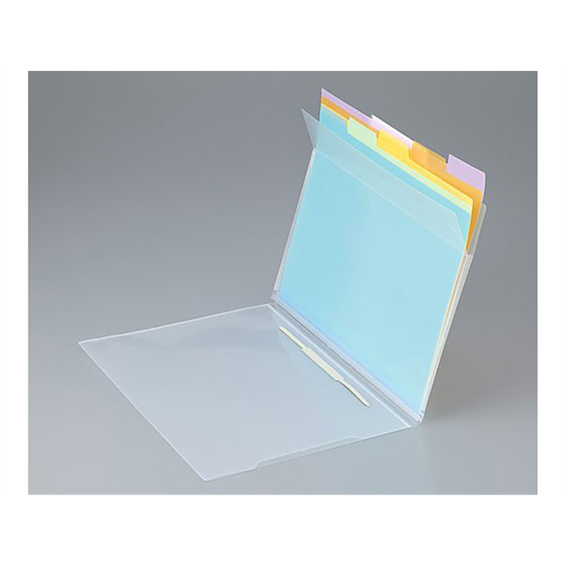 アズワン キャリングファイル A4 310×245mm MDFF01 1個（ご注文単位1個）【直送品】