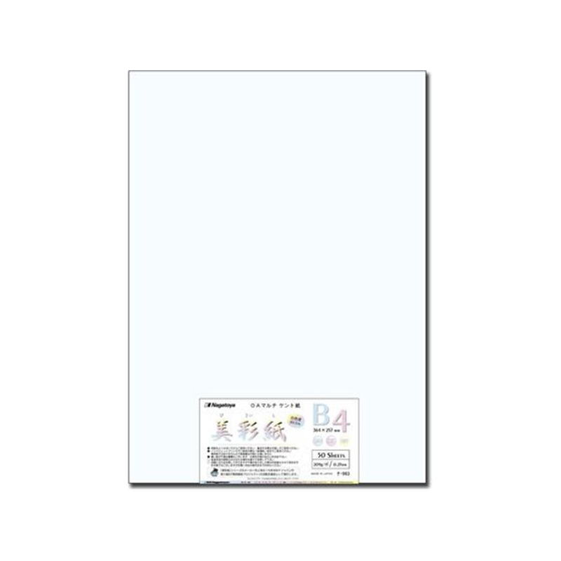 長門屋商店 美彩紙 B4[209g] ナ-963 1袋（ご注文単位1袋）【直送品】