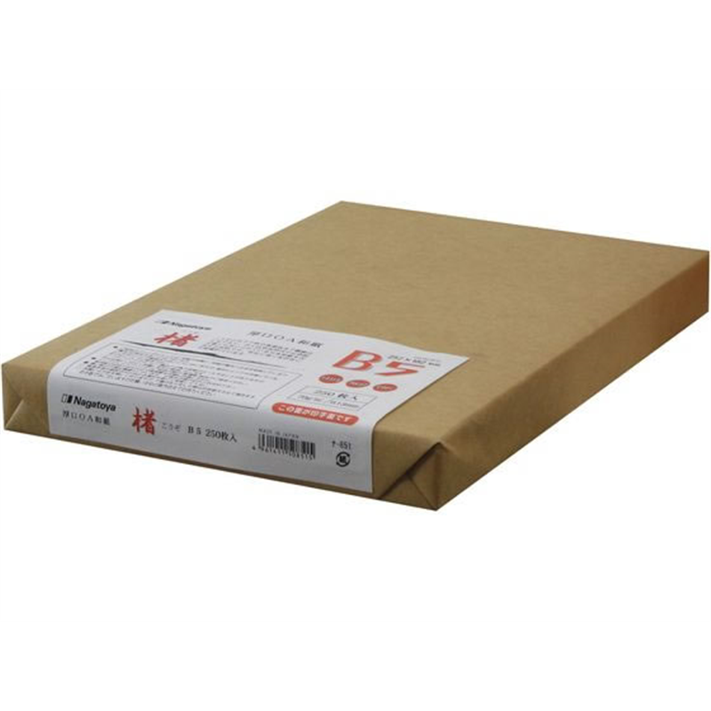 長門屋商店 マルチOA和紙 楮入奉書 B5 ナ-851 1束（ご注文単位1束）【直送品】