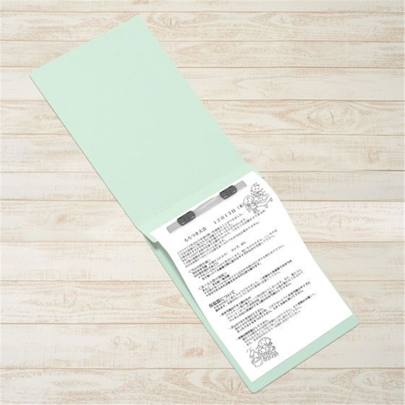 プラス フラットファイル 縦罫線タイプ B5E ブルー NO.032NT／98-2 1冊（ご注文単位1冊）【直送品】