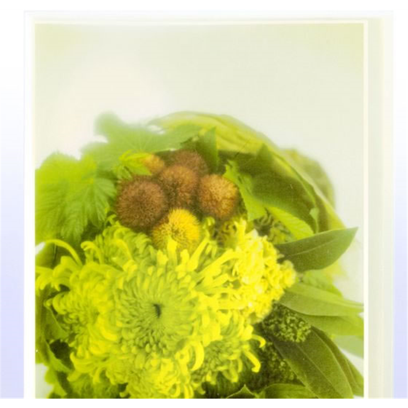 プラス シンプルクリアーファイル A4-S 20ポケット イエロー FC-220SC／98- 1冊（ご注文単位1冊）【直送品】