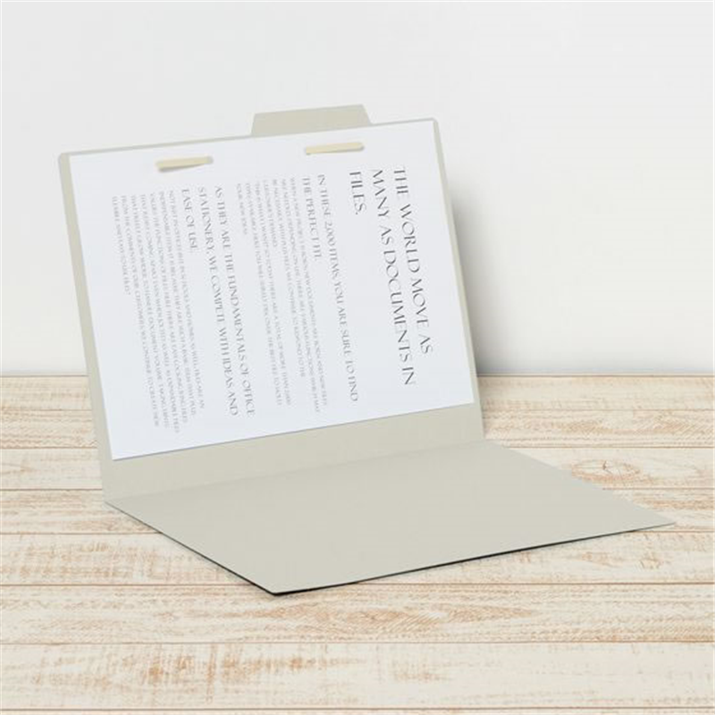 プラス 個別フォルダー A4-E グレー FL-061IF／87-099 1枚（ご注文単位1枚）【直送品】