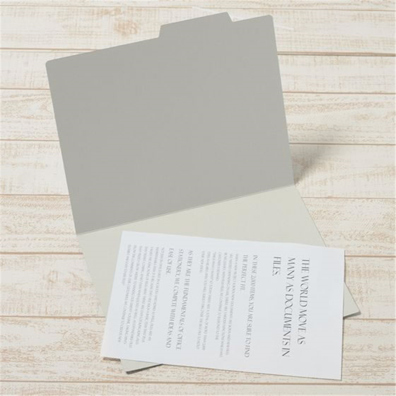 プラス 個別フォルダー A4-E グレー FL-061IF／87-099 1枚（ご注文単位1枚）【直送品】