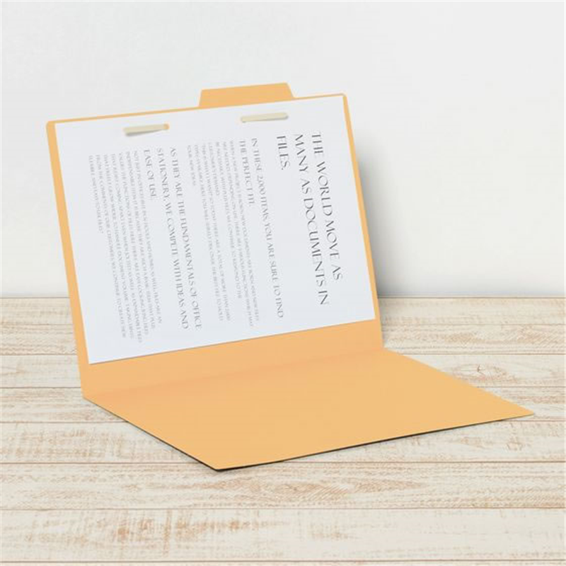 プラス 個別フォルダーエコノミー A4-E イエロー 10枚 FL-081IF／87 1パック（ご注文単位1パック）【直送品】