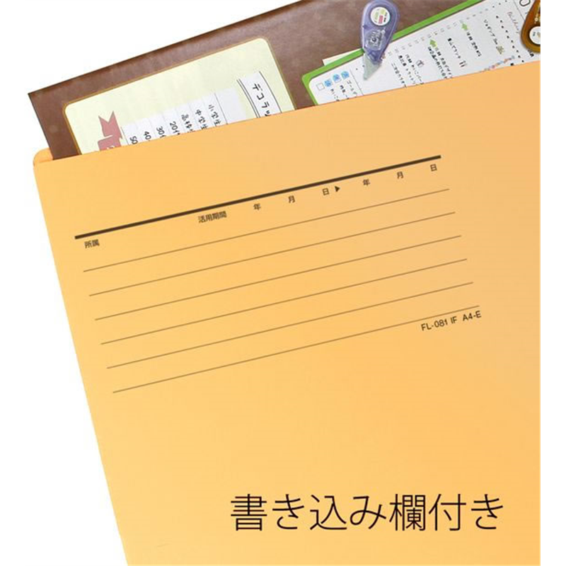 プラス 個別フォルダーエコノミー A4-E イエロー 10枚 FL-081IF／87 1パック（ご注文単位1パック）【直送品】