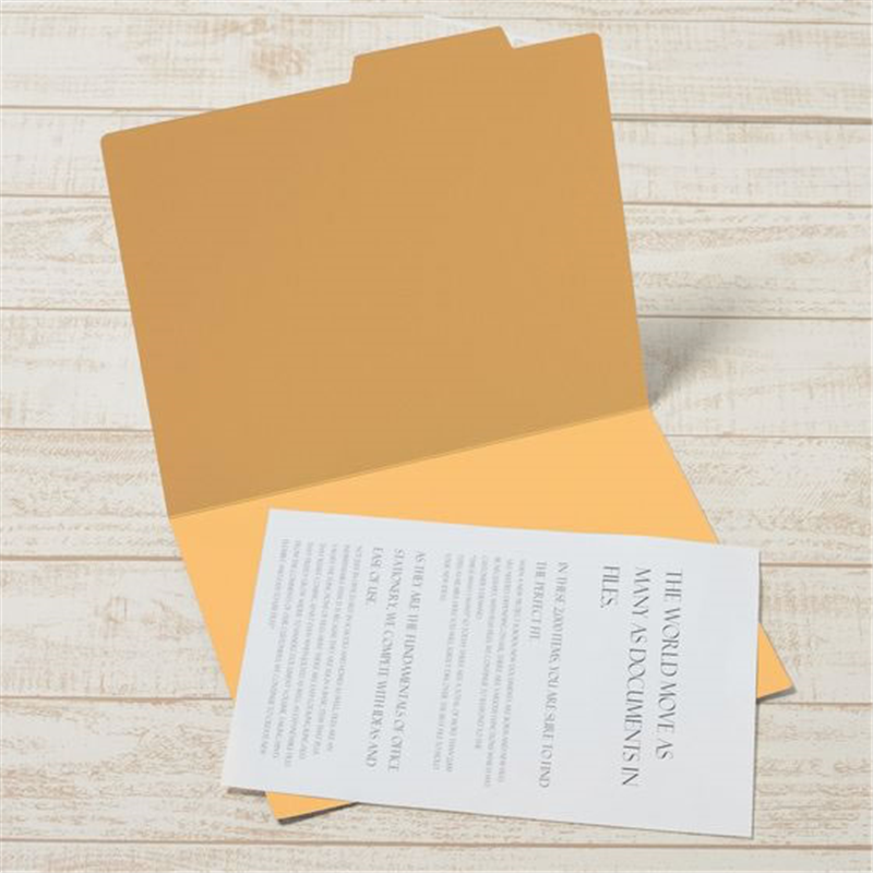 プラス 個別フォルダーエコノミー A4-E イエロー 10枚 FL-081IF／87 1パック（ご注文単位1パック）【直送品】