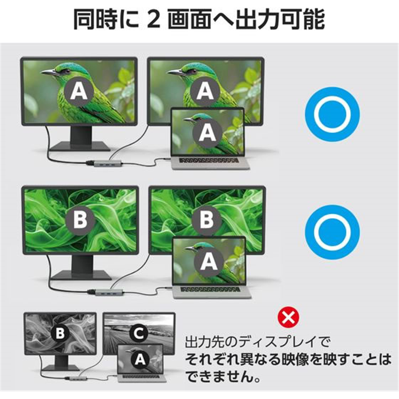 エレコム ドッキングステーション 10-in-1 シルバー DST-101BPSV 1個（ご注文単位1個）【直送品】