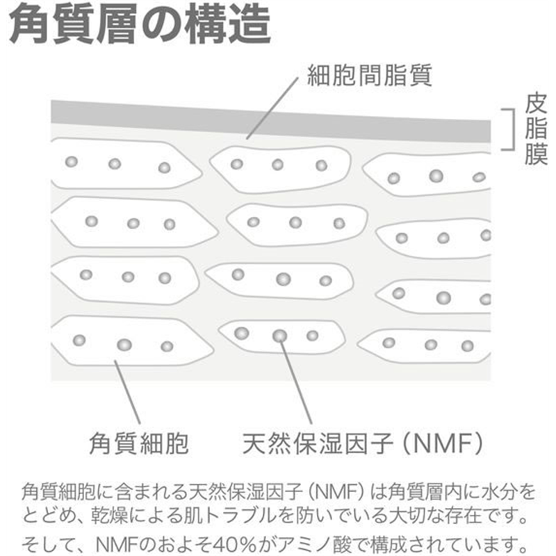 松山油脂 Mマークシリーズ アミノ酸あわ洗顔料 1個（ご注文単位1個）【直送品】