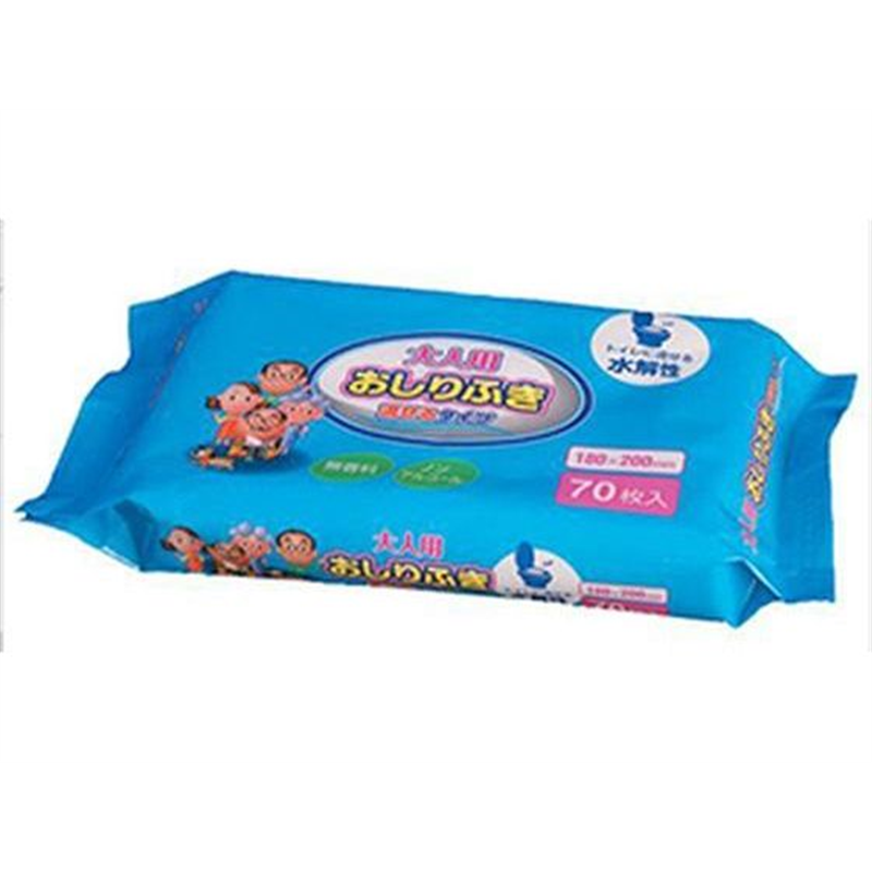 大一紙工 大人用おしりふき 流せるタイプ 70枚入 1個（ご注文単位1個）【直送品】
