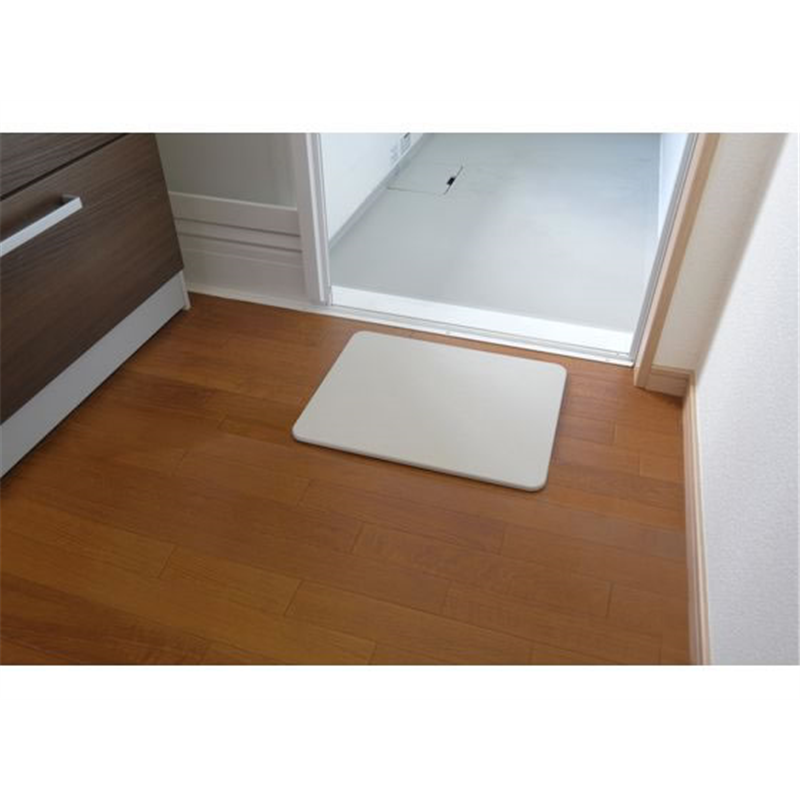 アイリスオーヤマ 速乾快適バスマット M SKBM-4535 1枚（ご注文単位1枚）【直送品】