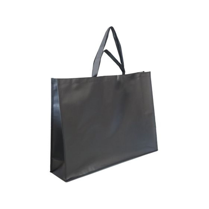 今村紙工 PPコーティング不織布バッグ 特大 3枚 FB-004 1パック（ご注文単位1パック）【直送品】