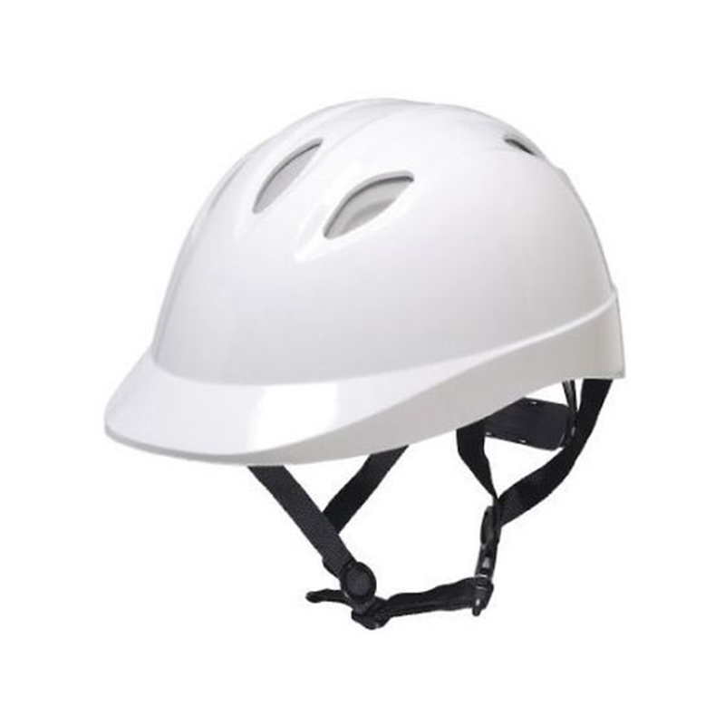 DICプラスチック 自転車用ヘルメット ベンチレーション付き SM TS06V-II 1個（ご注文単位1個）【直送品】