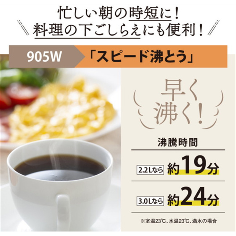 象印 VE電気まほうびん 3.0L CV-GV30-WA 1台(ご注文単位1台)【直送品】