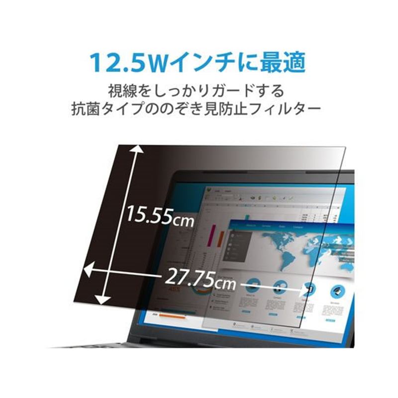 エレコム 抗菌プライバシーフィルター 12.5Wインチ(16:9) EF-PFK125W 1個(ご注文単位1個)【直送品】