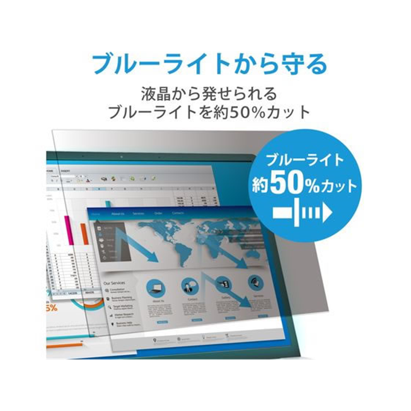 エレコム 抗菌プライバシーフィルター 12.5Wインチ(16:9) EF-PFK125W 1個(ご注文単位1個)【直送品】