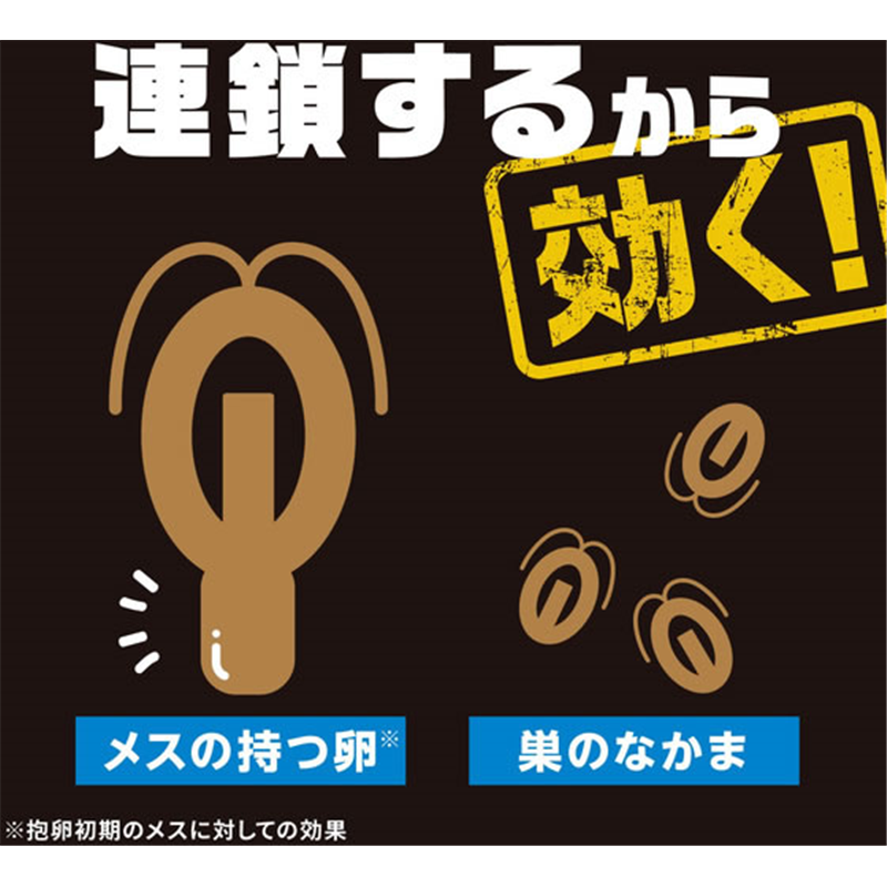 アース製薬 ブラックキャップ フィットタイプ 32個入 1箱(ご注文単位1箱)【直送品】