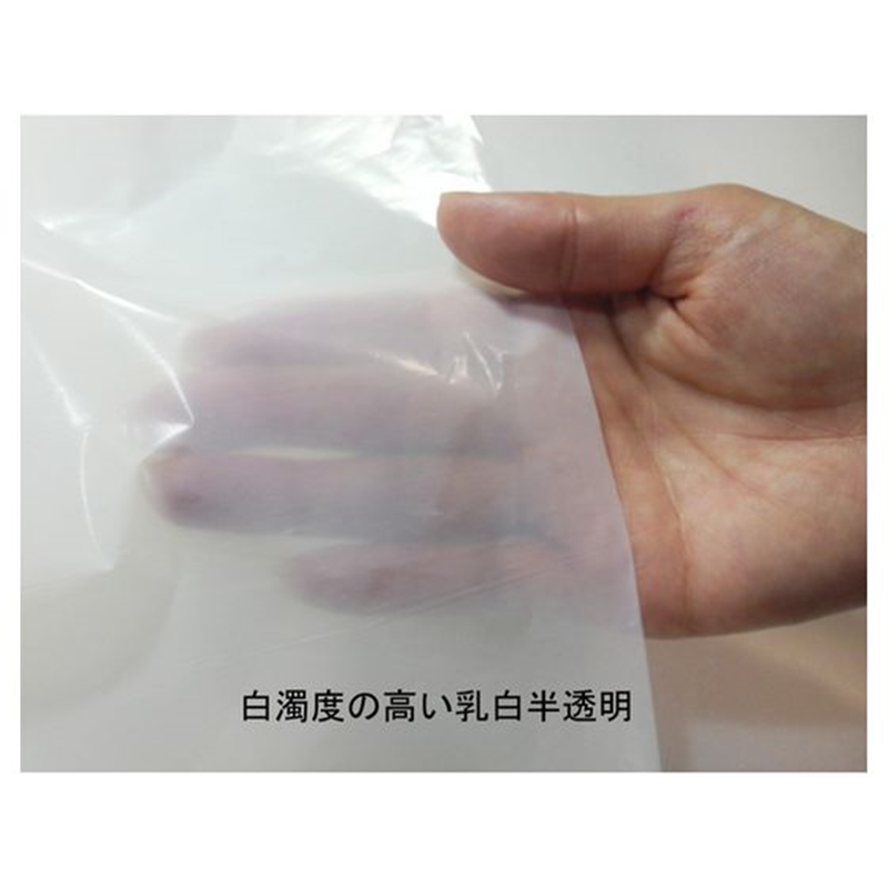 野添産業 スゴエコ袋 45L 半透明 厚み25μ 10枚 3S252452 1袋（ご注文単位1袋）【直送品】