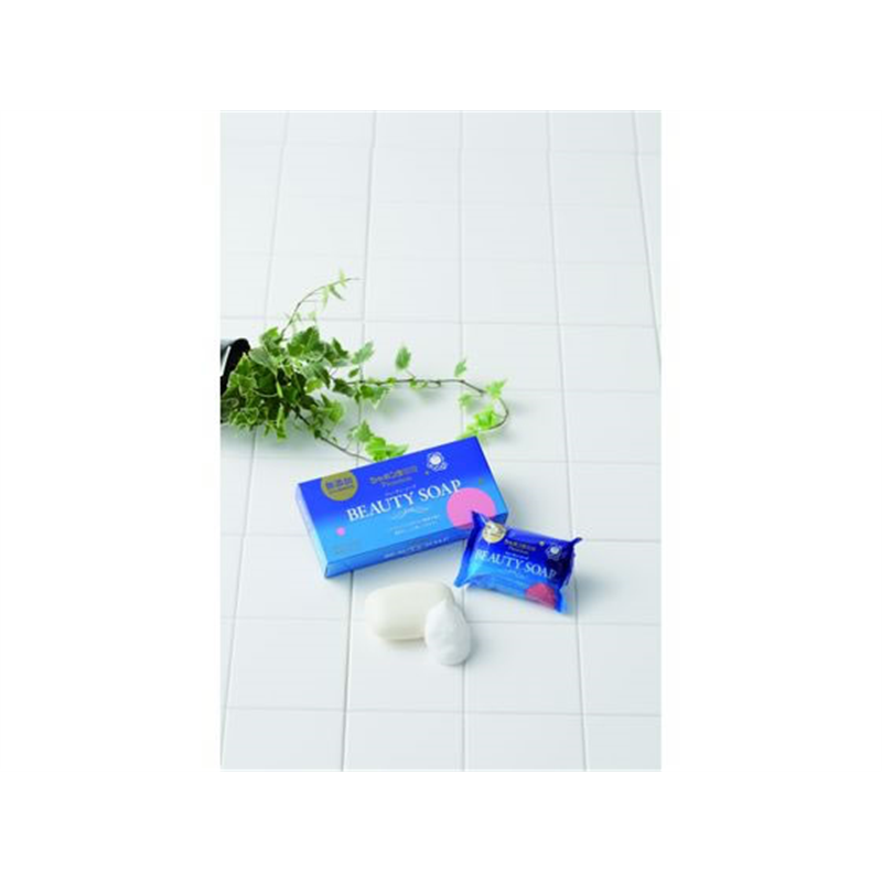 シャボン玉石けん ビューティソープ 100g×3個 1箱（ご注文単位1箱）【直送品】