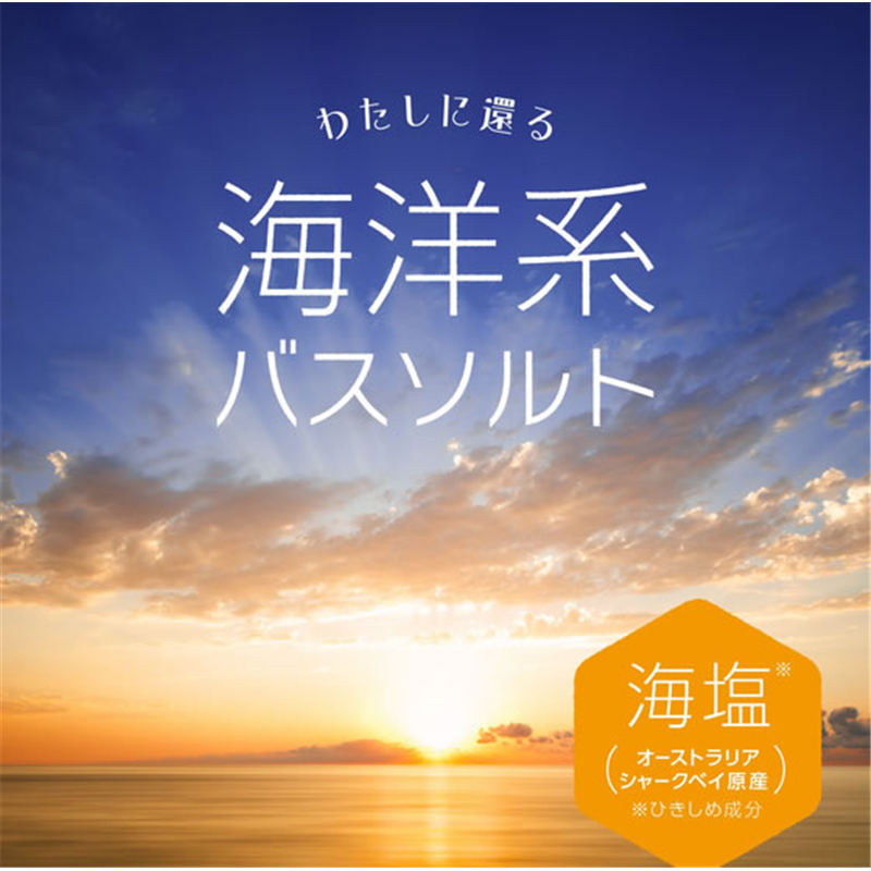 アース製薬 セルネバスソルト フィンガーライムの香り 500g 1個(ご注文単位1個)【直送品】