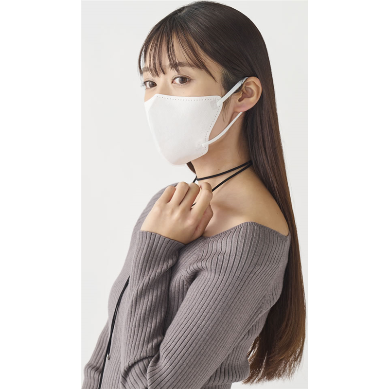 アイリスオーヤマ DAILYFITMASK ふつう 20枚 ホワイト RN-DH20SW 1袋（ご注文単位1袋）【直送品】