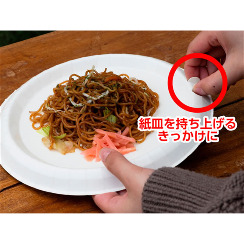サンナップ 風に強いペーパープレート 21cm 5枚 P2105KSNP 1パック(ご注文単位1パック)【直送品】