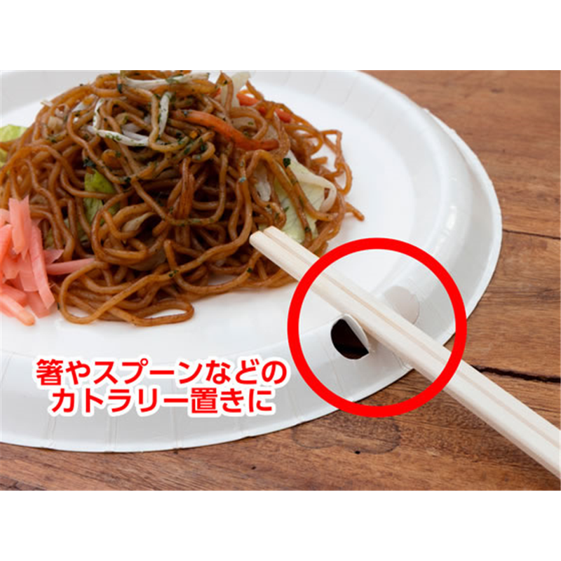 サンナップ 風に強いペーパープレート 21cm 5枚 P2105KSNP 1パック(ご注文単位1パック)【直送品】