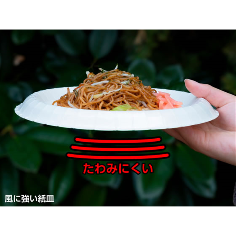 サンナップ 風に強いペーパープレート 21cm 5枚 P2105KSNP 1パック(ご注文単位1パック)【直送品】