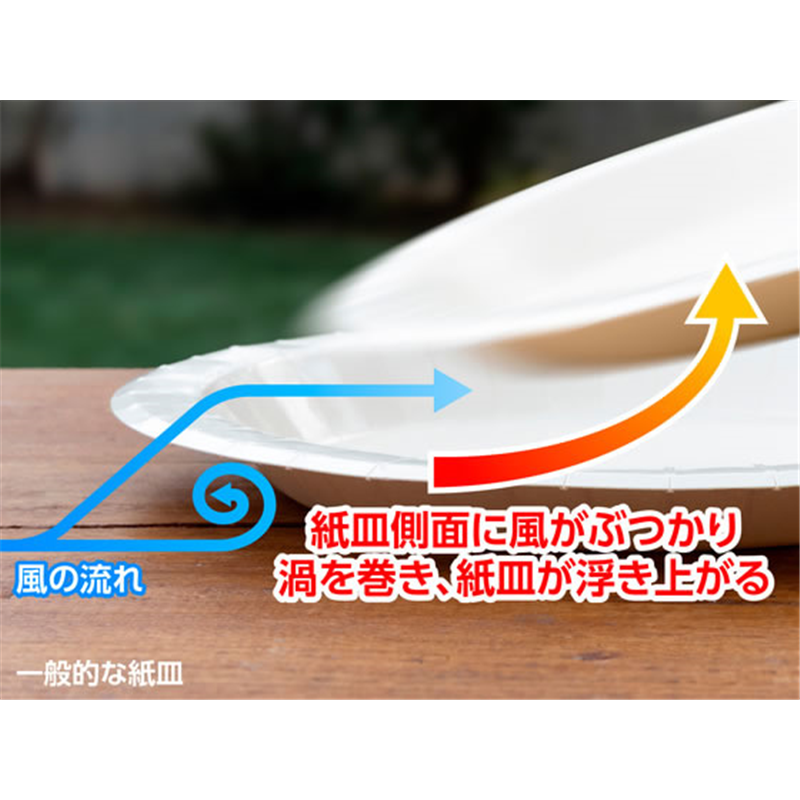 サンナップ 風に強いペーパープレート 21cm 5枚 P2105KSNP 1パック(ご注文単位1パック)【直送品】